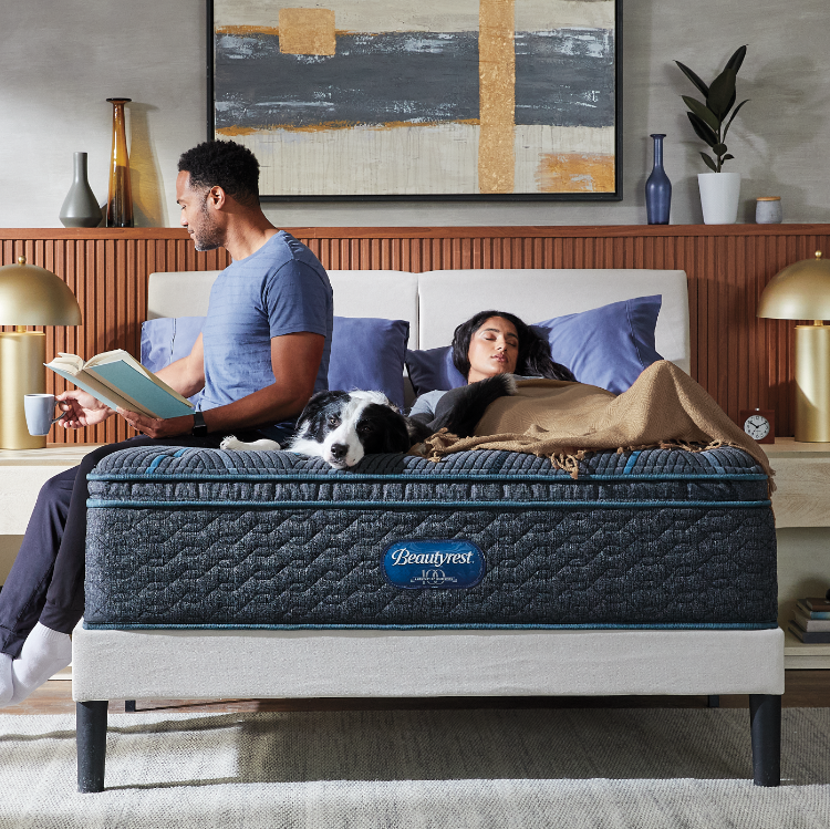 Beautyrest Collection